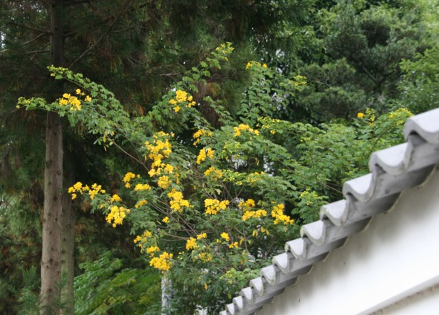 c0144185_23123974.jpg