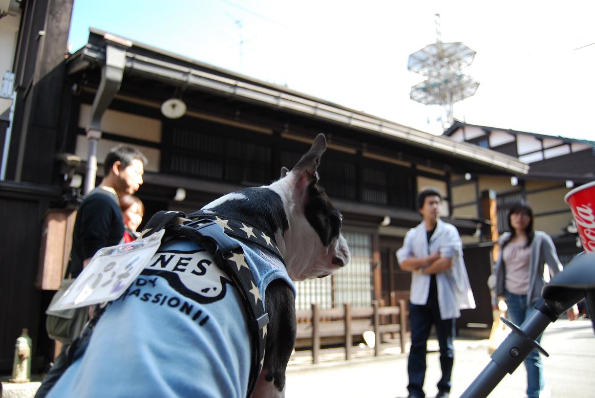 飛騨高山ボステリオフ会　　やっとやっと最終回_a0080889_130190.jpg