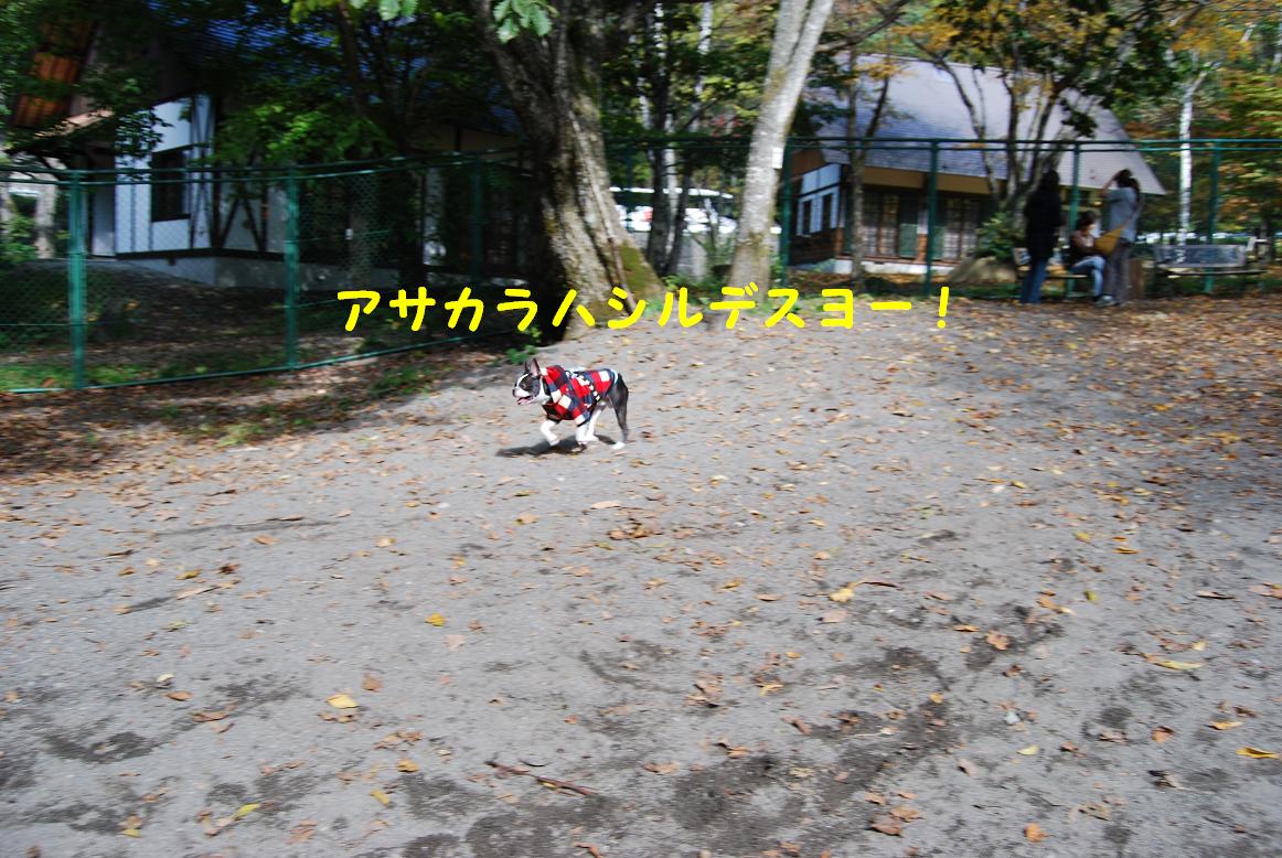 a0080889_15651.jpg