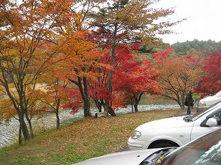 f0117892_23371499.jpg