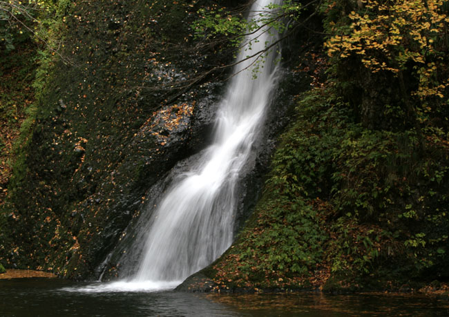紅葉と落葉の「峨瓏ノ滝」_f0150893_2014115.jpg