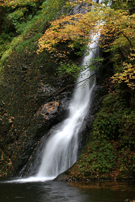 紅葉と落葉の「峨瓏ノ滝」_f0150893_2015066.jpg