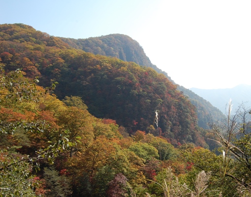 d0153294_19542114.jpg