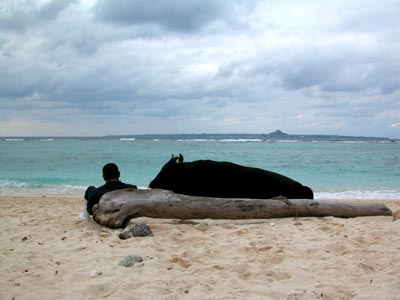 美ら写真(海) その1_c0108695_1575293.jpg