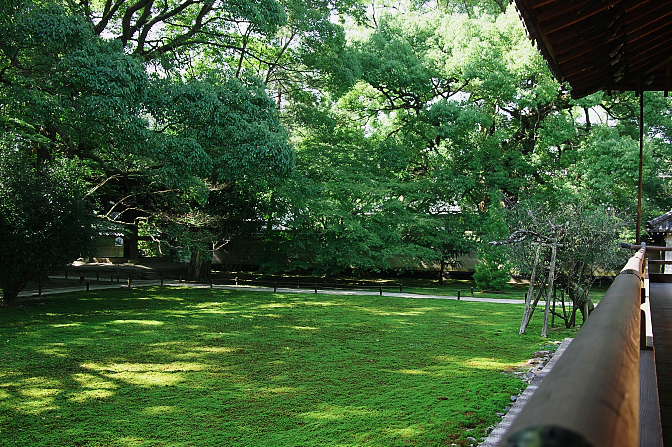 d0069495_23325340.jpg