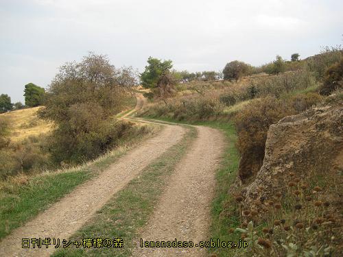 c0010496_736145.jpg