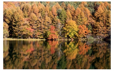 秋の風景１_c0178104_10442142.jpg