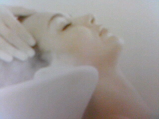 a0052621_00565.jpg