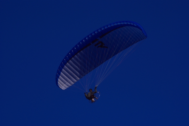 e0118825_19514462.jpg