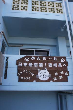 これで最後　沖縄旅行記　　猫喫茶_c0136933_21293913.jpg