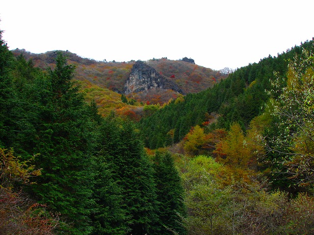 b0097836_11531889.jpg