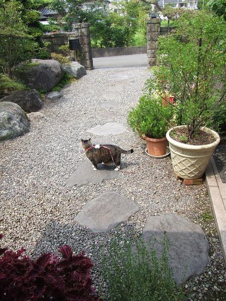 歩こう~♪_b0089338_0105089.jpg