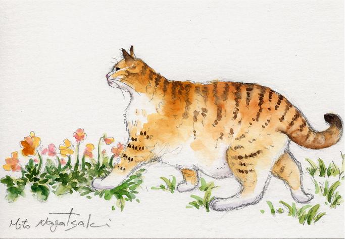 歩こう~♪_b0089338_031973.jpg