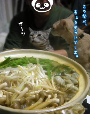 c0096342_23472679.jpg