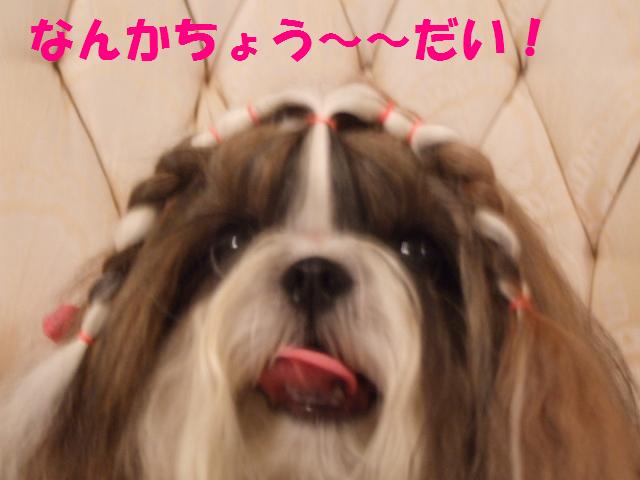 a0091448_2245142.jpg