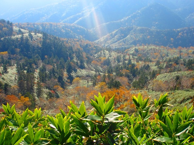 ＜200８年１０月１８～１９日＞Ｆツアー・０８秋の山旅「岩菅山＆白砂山」：（その１）_c0119160_21222652.jpg