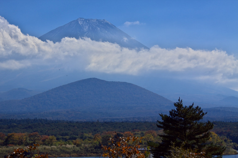 山中湖ほか（１０月２８日）_c0057265_19365782.jpg