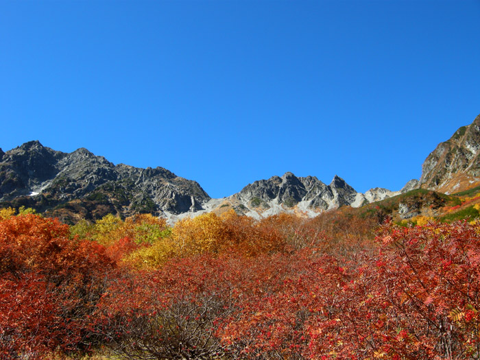 涸沢_c0054876_18102648.jpg