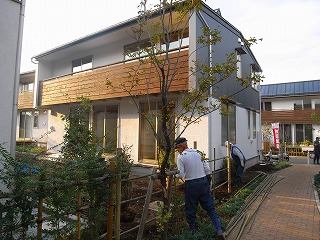 b0139179_16123441.jpg