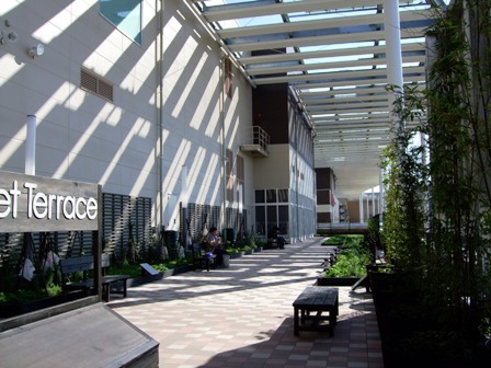 c0078480_2312331.jpg