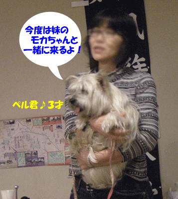 e0066883_21354689.gif