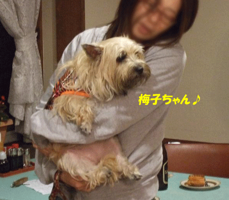 e0066883_21505528.gif