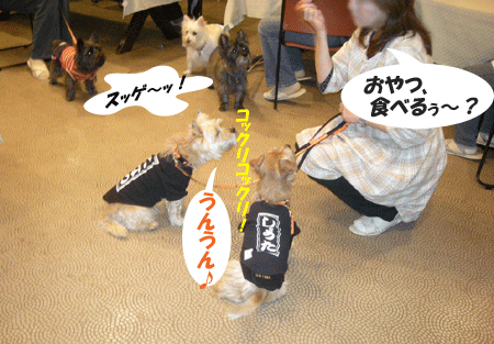 e0066883_21543627.gif