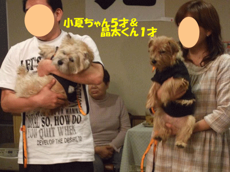 e0066883_221855.gif