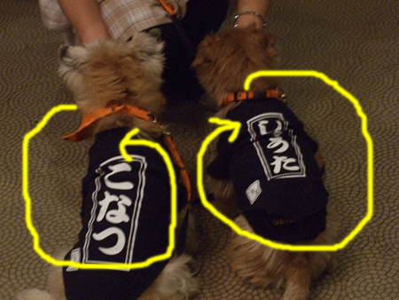 e0066883_223545.gif