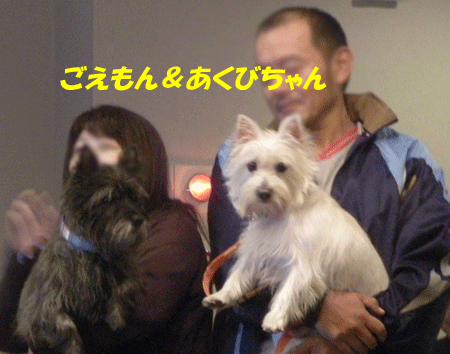 e0066883_22568.gif