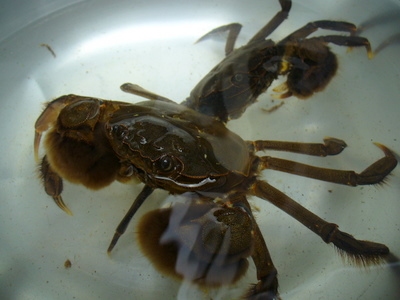 e0026586_14162120.jpg
