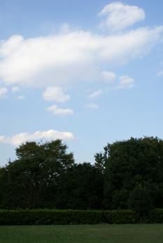 a0091891_15113584.jpg