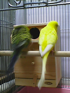 f0074992_22404862.jpg