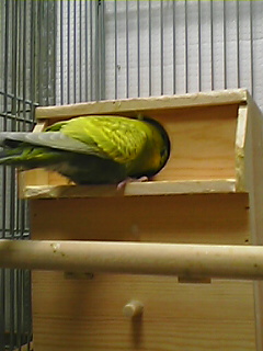 f0074992_22492431.jpg