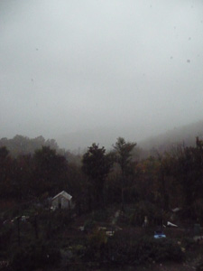10月の畑~恵の雨が降りました_f0106597_17434081.jpg