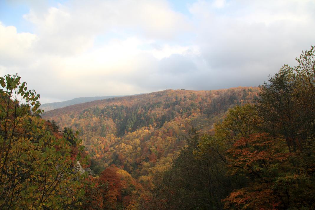 f0034602_10485917.jpg
