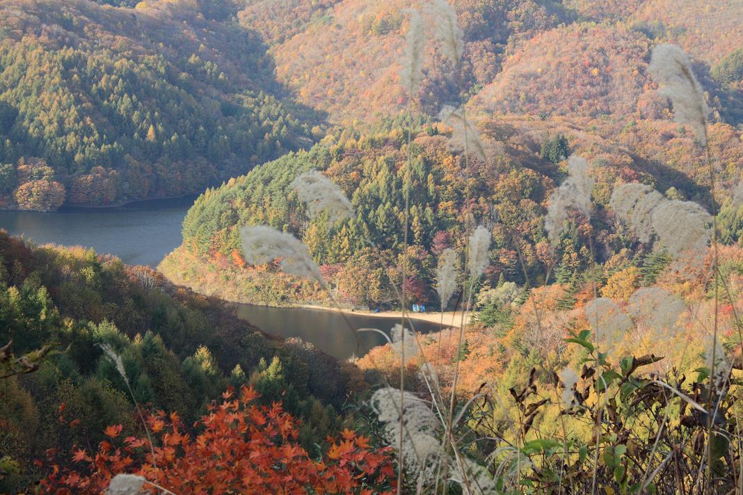 f0034602_10501034.jpg