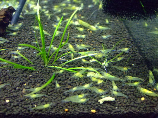 f0152308_2014225.jpg