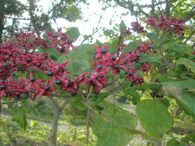 f0190010_23171079.jpg