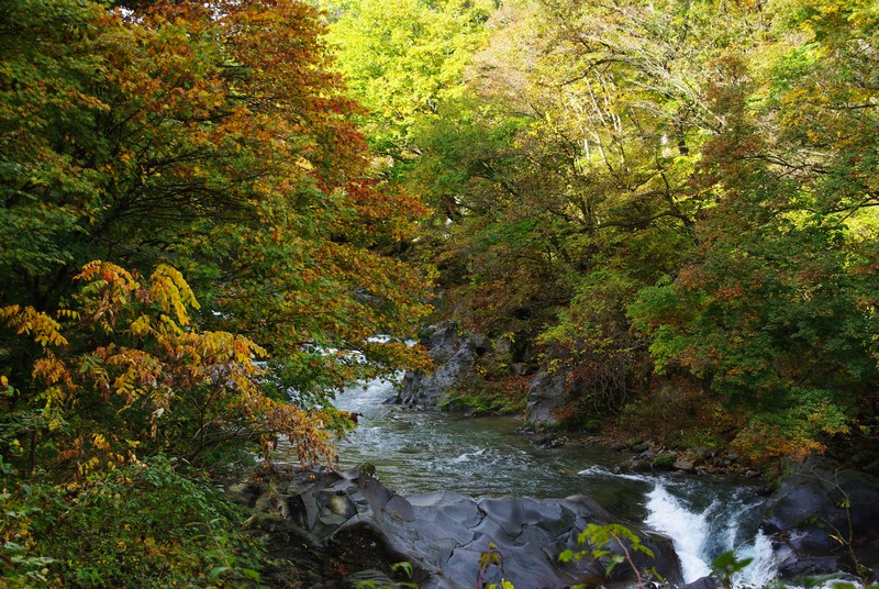 栃木県_e0034313_2011925.jpg