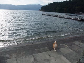 d0143214_22295991.jpg