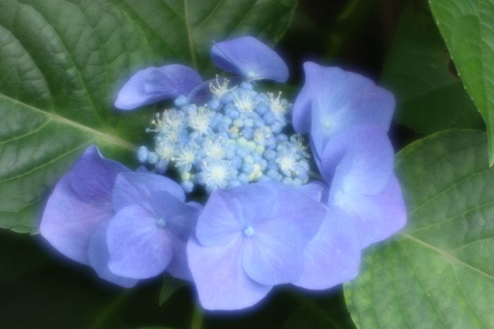 f0187818_14343061.jpg