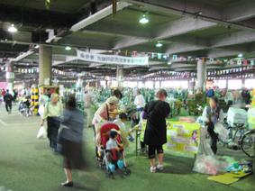 c0177822_153742.jpg