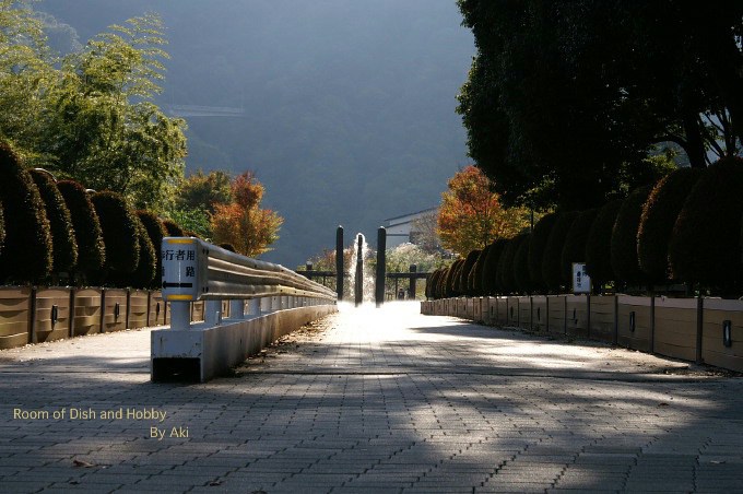 《日中スローシンクロ撮り》テストです。神奈川県立愛川公園にて。_b0033423_181635.jpg