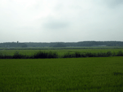 a0062324_1225236.gif