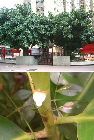 e0121844_125098.jpg