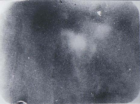 b0140046_19404662.jpg
