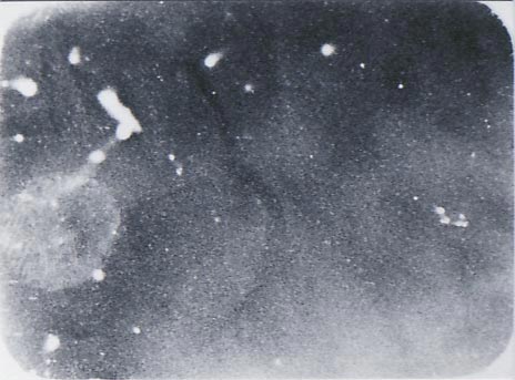 b0140046_19422586.jpg