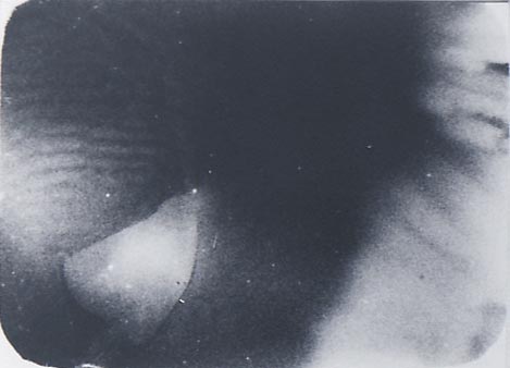b0140046_19432040.jpg