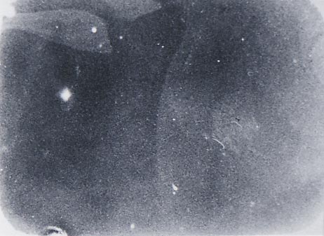 b0140046_19434781.jpg